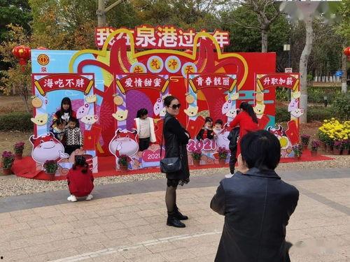 陆丰网红打卡拍照,镜头下的魅力瞬间