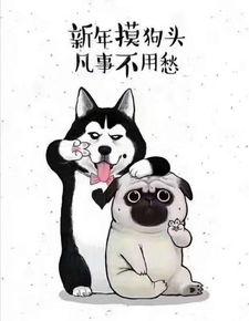狗头条款,揭秘网络流行语的奥秘与魅力