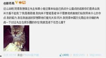 粗口羞辱明星,明星如何应对网络暴力