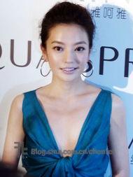 赵薇类似的明星,赵薇式明星的璀璨人生