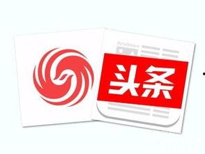 合肥凤凰精英今日头条,聚焦精英风采，共话发展新篇