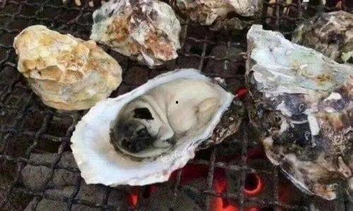 吃瓜引产闹鬼,揭秘背后惊悚真相