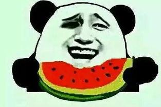 吃瓜的思考,吃瓜群众视角下的社会现象深度解析