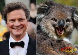 明星对动物挑衅事件,道德底线何在？