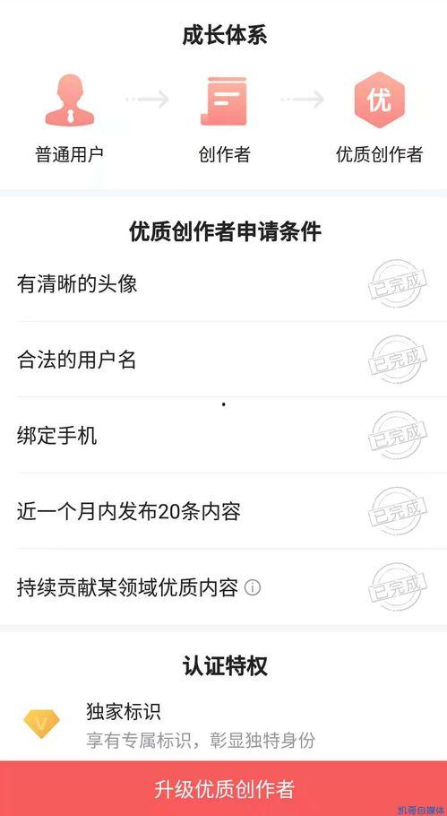 怎样认证头条号兴趣认证,开启个性化内容创作之旅