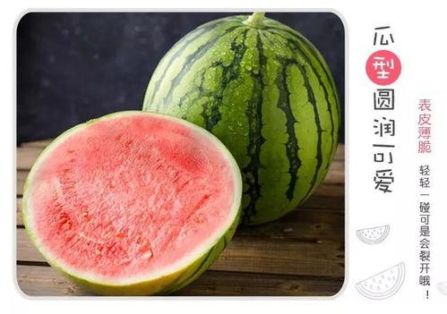 在网上分享吃瓜