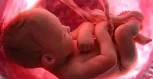 哪个网红堕过胎啊