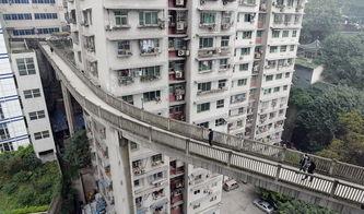 南益区天桥镇新闻头条,重大发展项目启动，助力乡村振兴新篇章