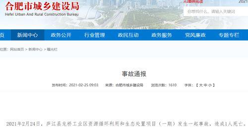 合肥爆料最新消息新闻,突发事件引发关注，详情即将揭晓