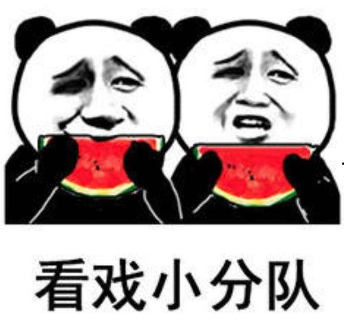 吃瓜表情包看戏图片,笑翻剧场的戏码大揭秘