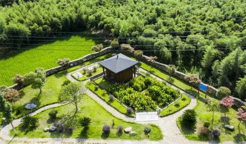 临安网红村庄有哪些,探寻隐匿于山水间的魅力村落