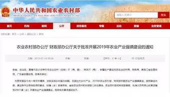 信阳头条最新爆料胡店,揭秘事件真相